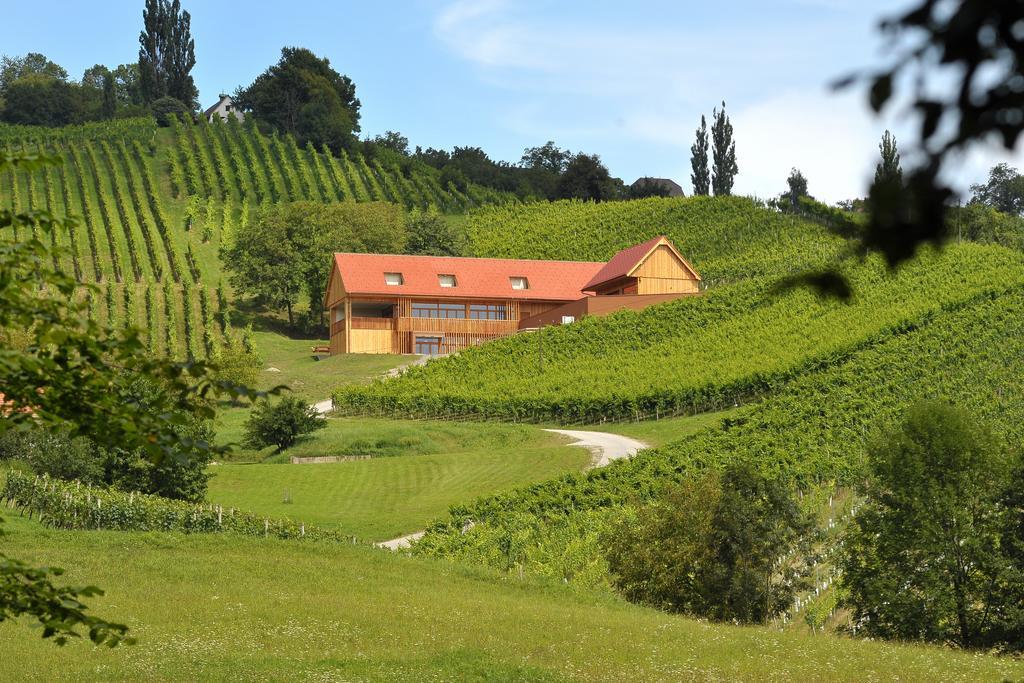 Vino Valdhuber Apartments Svecina 외부 사진