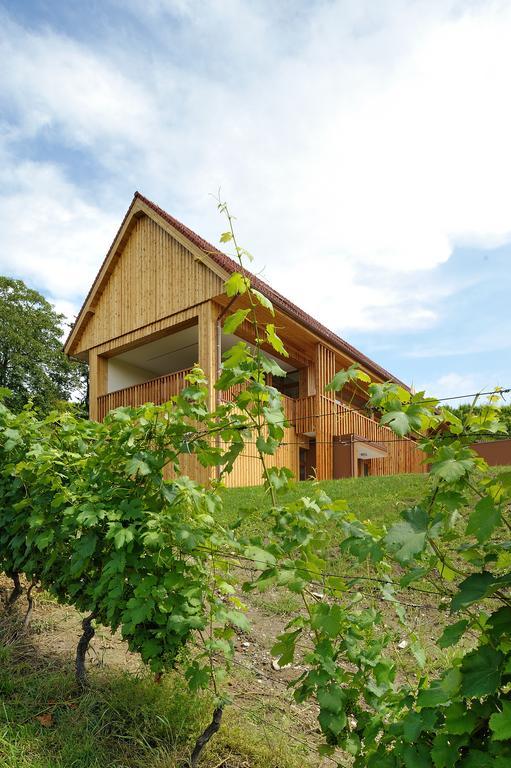 Vino Valdhuber Apartments Svecina 외부 사진
